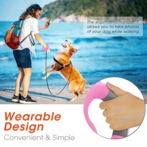 Laisse pour chien Laisse ronde pour chien Laisse légère avec lanterne  Laisse ronde avec une lumière